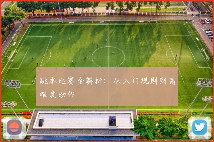跳水比赛全解析：从入门规则到高难度动作