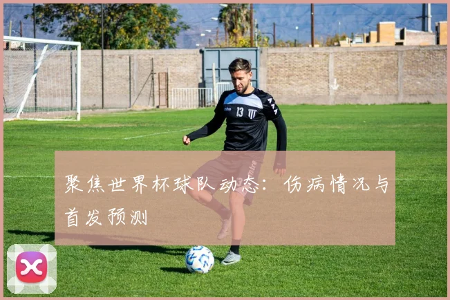 聚焦世界杯球队动态：伤病情况与首发预测
